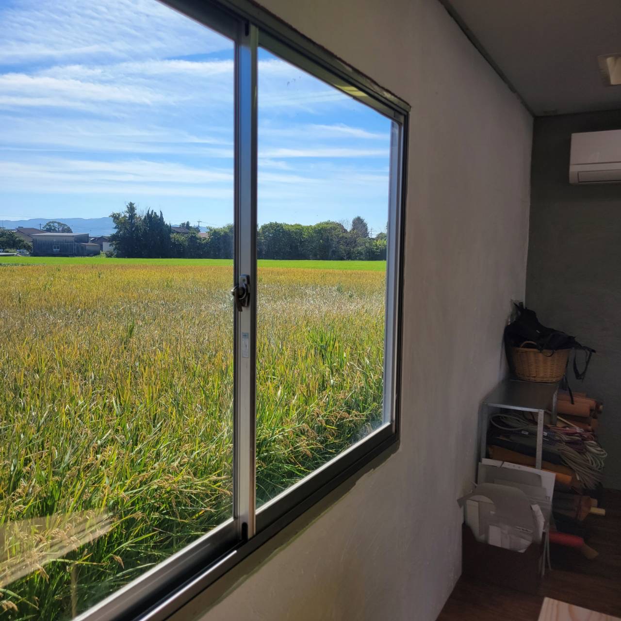 室内からの風景